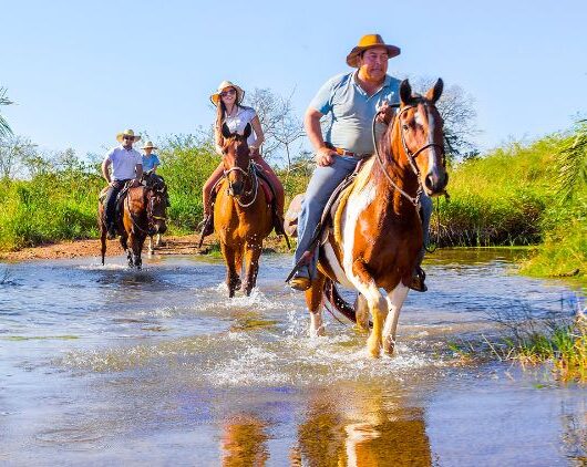 Passeio a Cavalo no Parque Ecológico Rio Formoso em Bonito MS