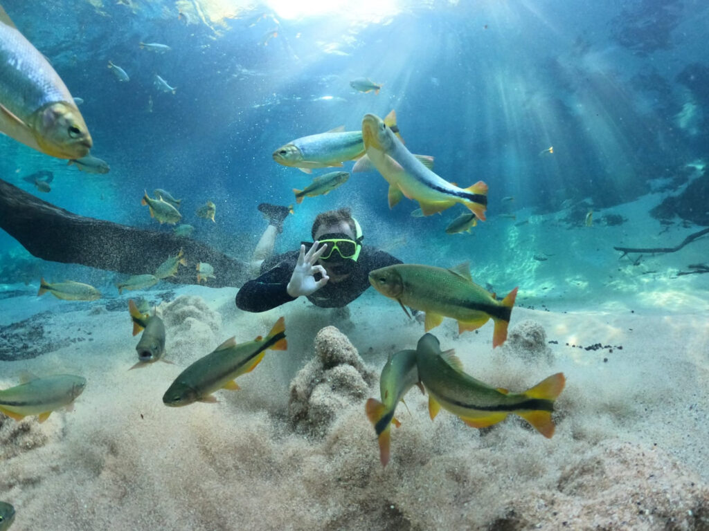 Flutuação no Rio da Prata em Bonito MS