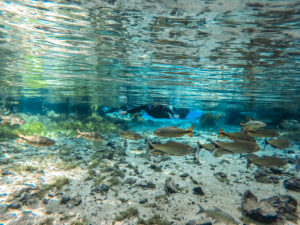 nascente-azul-flutuacao-bonito-ms