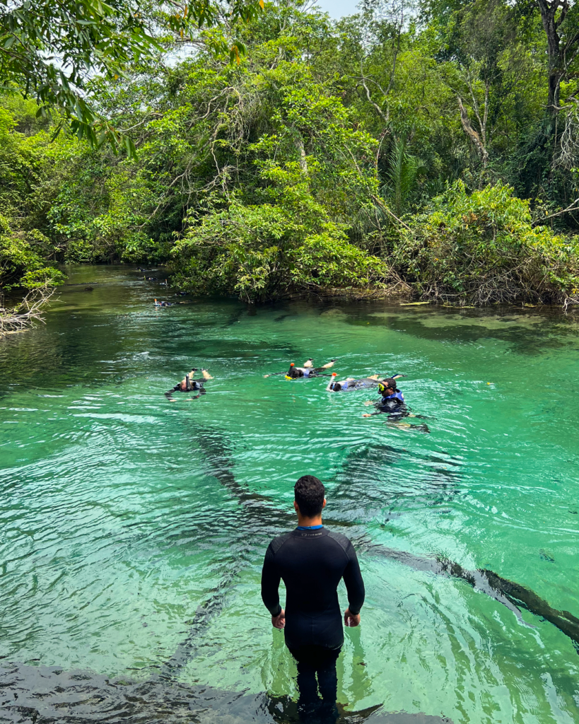 rio-da-prata-flutuacao-bonito-ms
