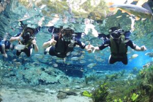 aquario-natural-bonito-ms