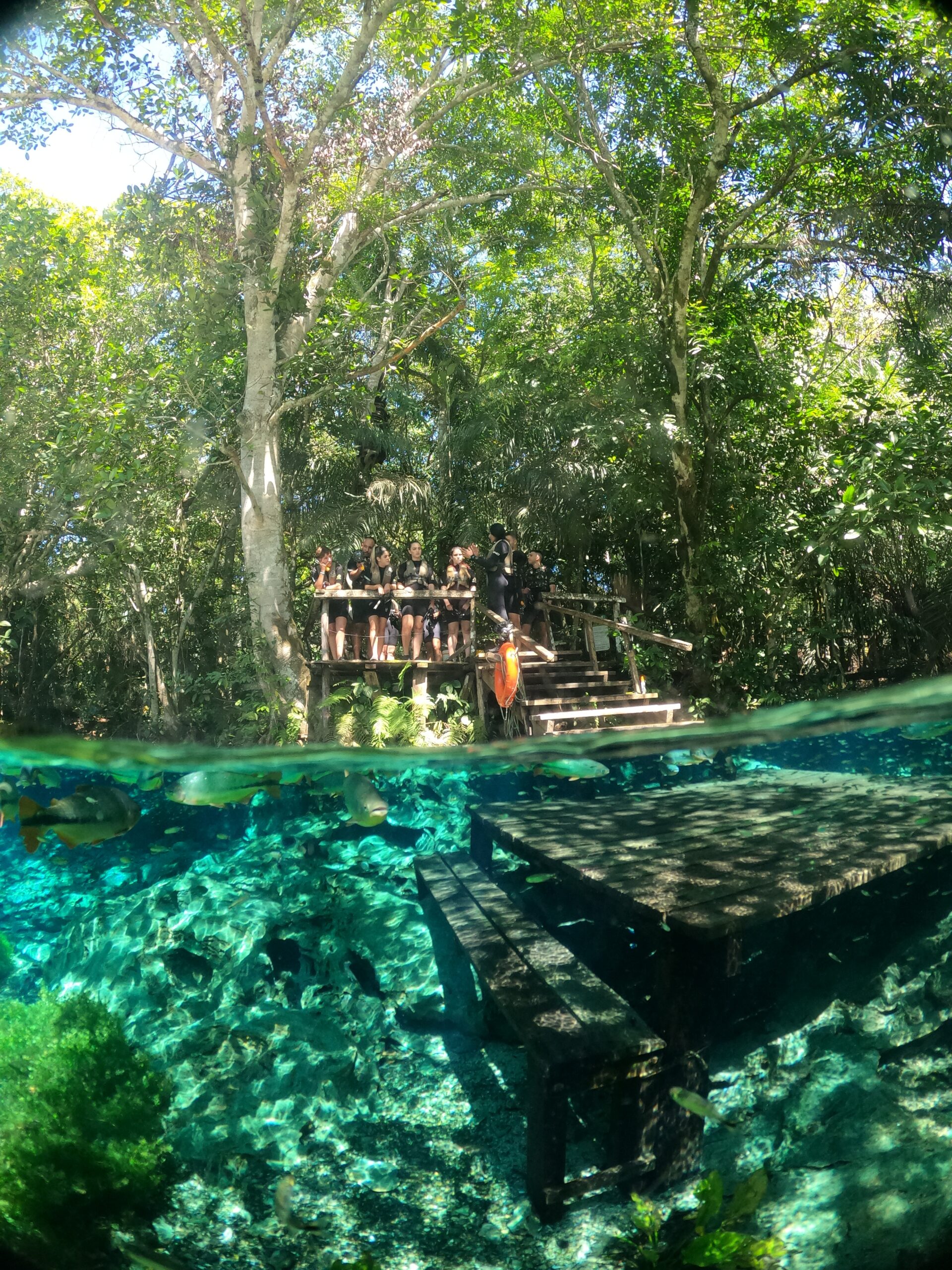 Visitantes fazendo flutuação no Aquário Natural em Bonito MS