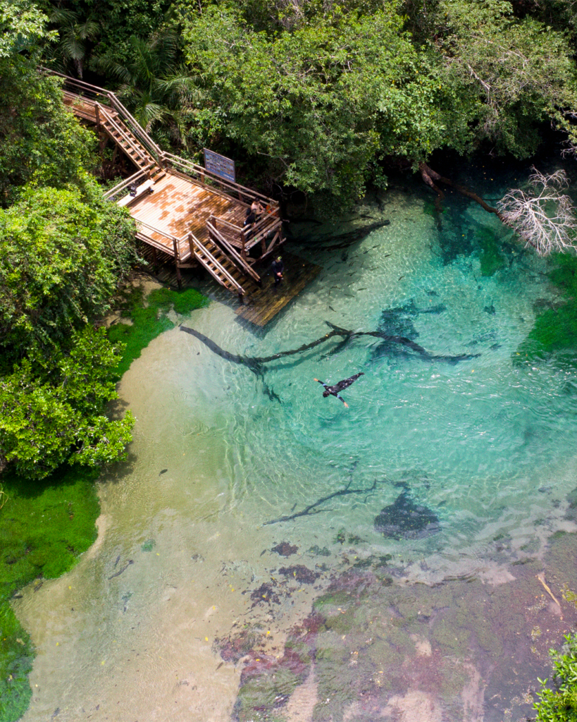 rio-da-prata-flutuacao-bonito-ms