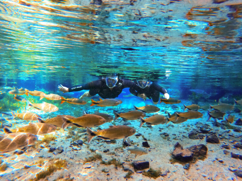 Flutuação na Nascente Azul em Bonito MS