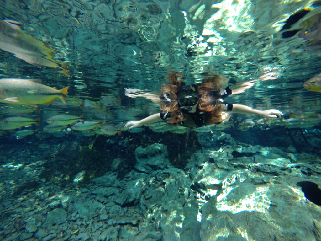 aquario-natural-bonito-ms