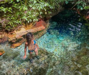 ceita-core-bonito-ms