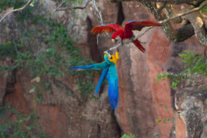 buraco-das-araras-jardim-ms