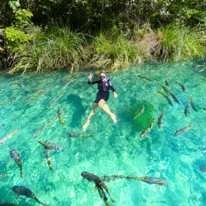 praia-da-figueira-flutuacao-rio-formoso-bonito-ms