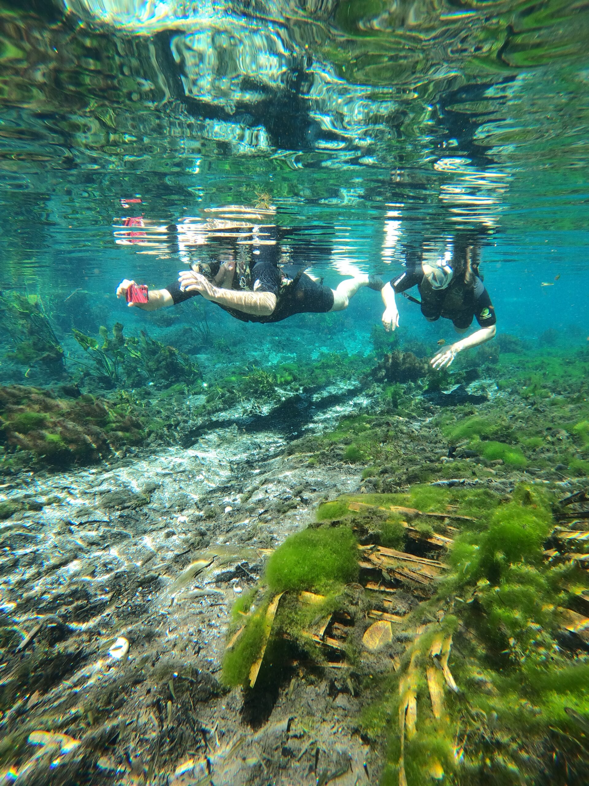 Área preservada da Reserva Ecológica Baía Bonita