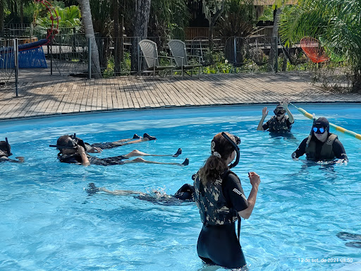 Flutuação entre peixes no Aquário Natural em Bonito
