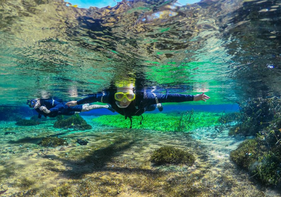 Flutuação em águas transparentes no Rio Sucuri