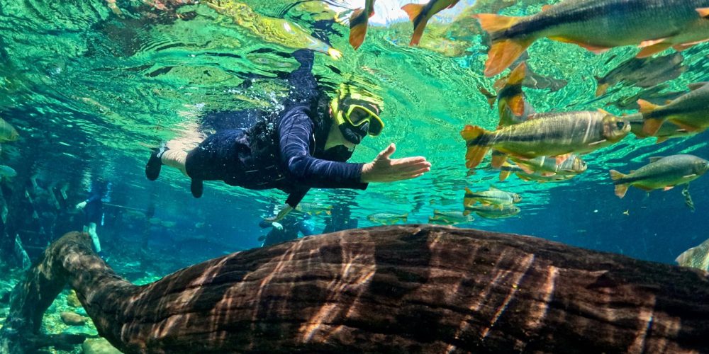 rio-da-prata-flutuacao-bonito-ms